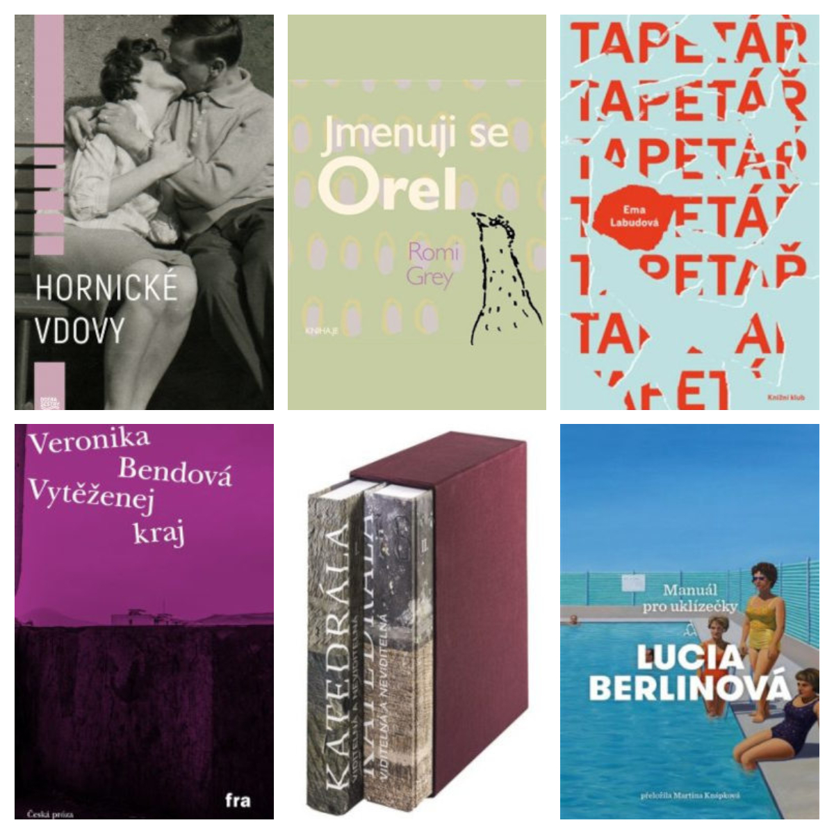 Zde představujeme obálky šesti knih, které byly letos nominované na ceny Magnesia Litera a napsaly je ženy. Ačkoliv nezvítězily, stojí za pozornost. Zleva shora: <b>Hornické vdovy</b> Kamily Hladké, <b>Jmenuji se Orel</b> Romi Grey, <b>Tapetář</b> Emy Labudové, <b>Vytěžený kraj</b> Veroniky Bendové, <b>Katedrála viditelná a neviditelná</b> Jany Maříkové-Kubkové a kolektivu a český překlad <b>Manuálu pro uklízečky</b> Lucii Berlinové v překladu Martiny Knápkové