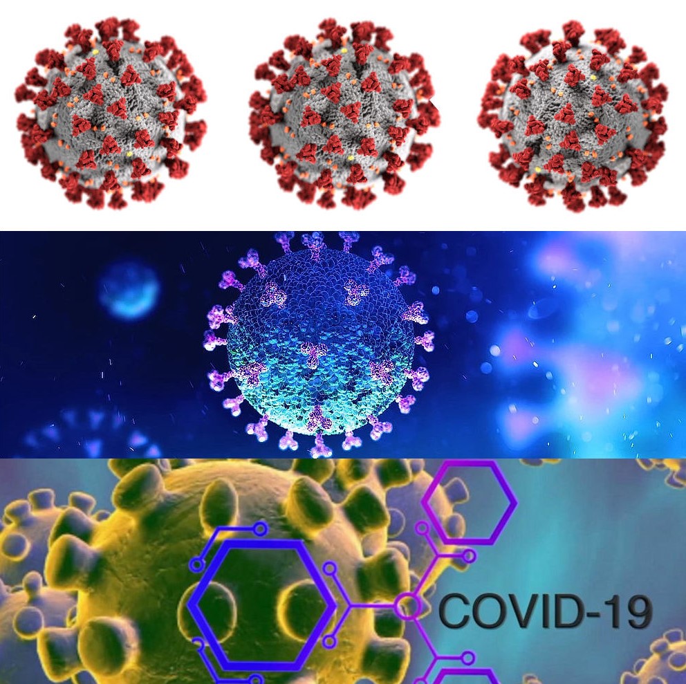 Molekuly viru nabývaly během první vlny pandemie nejrůznějších výstražných barev. Foto Wikipedie