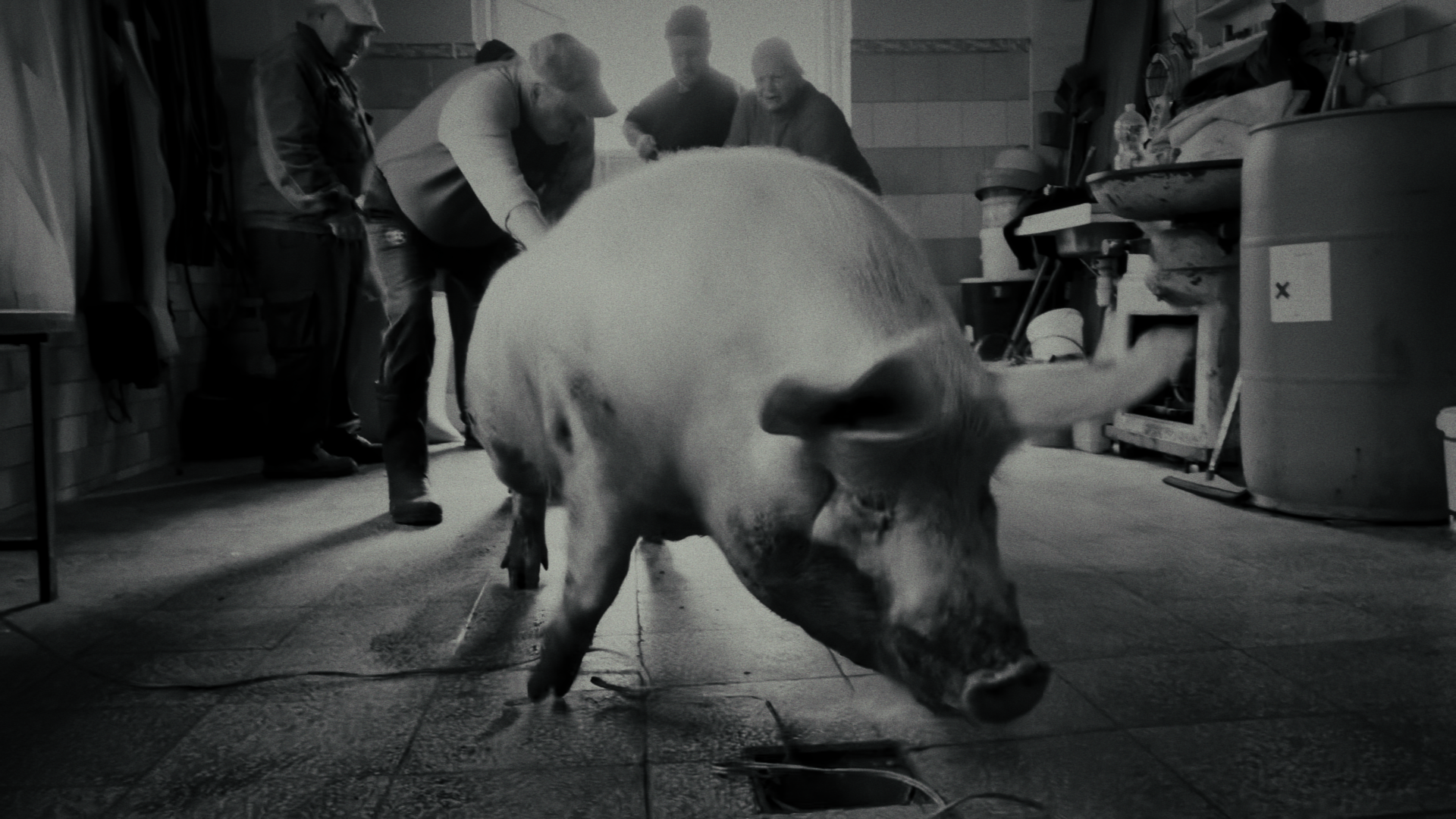 Z filmu <b><i> Západ </b></i> (r. Martin Imrich)