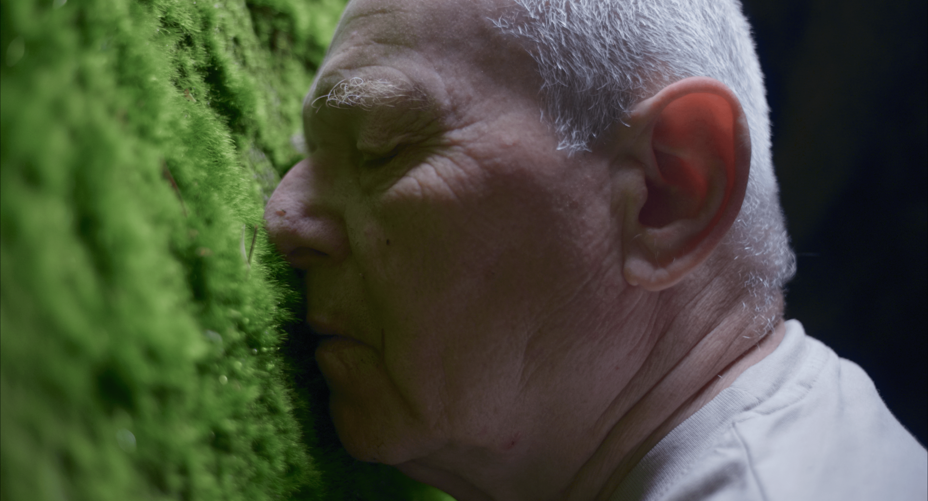 Z filmu <b><i>Podoby milostného vztahu ke světu</i></b>. Zdroj Perfilm