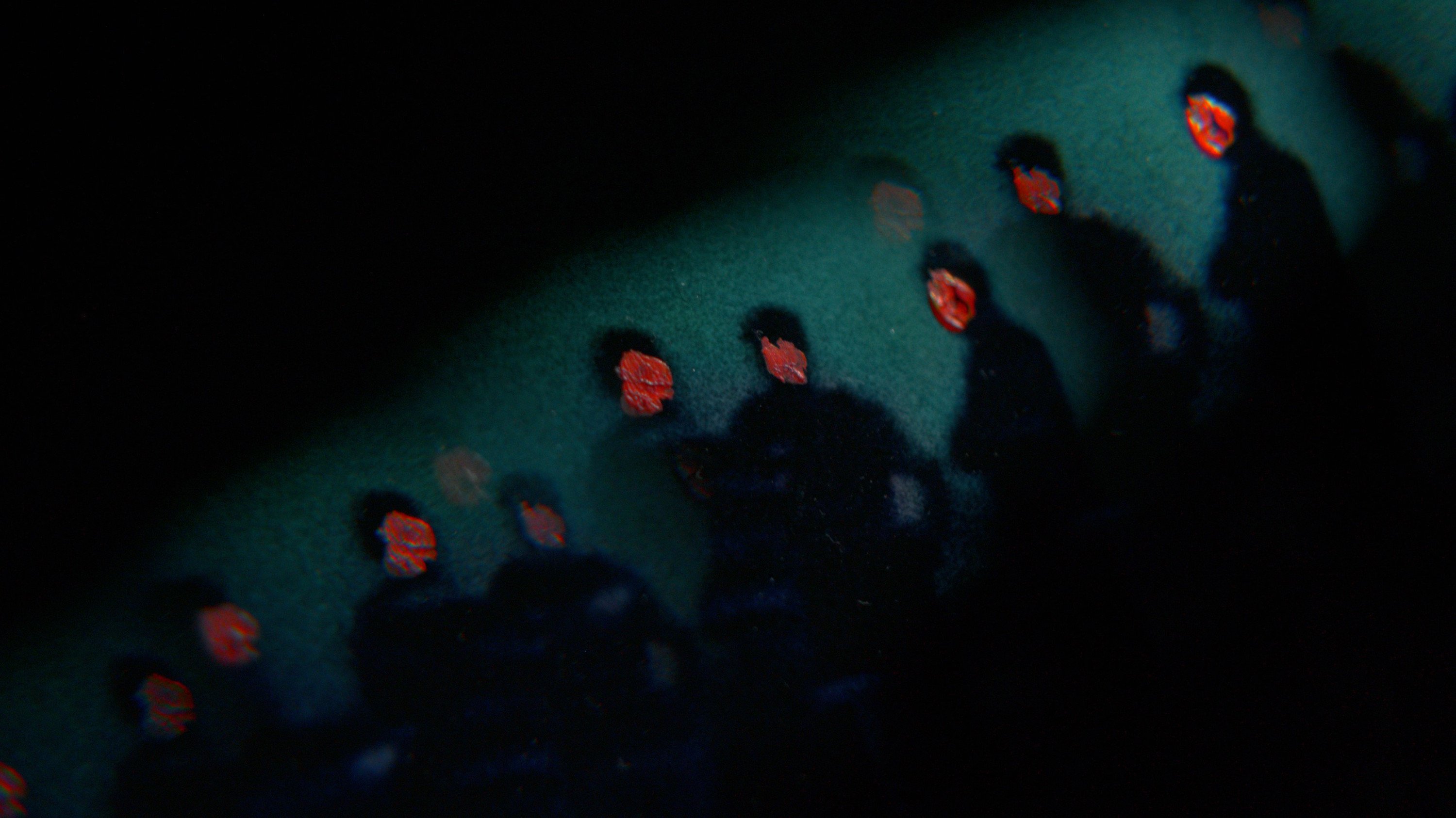 Z filmu <b><i>Má země v nedohlednu</i></b> (2025, r. Valerio Mendoza Guillén, Jorge Sánchez Calderón)