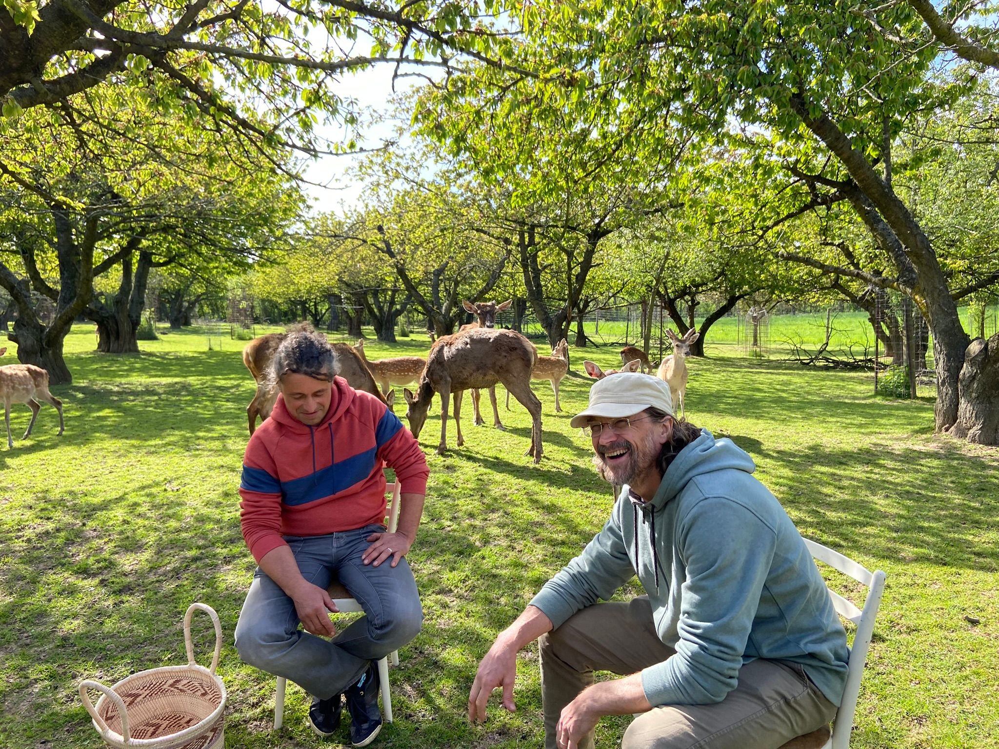 Vědec a pedagog Radim Kotrba, jeho zvířata a Dan Bárta. Rodinná farma Miskovice - příběh nových cest. Foto Linda Kotrbová