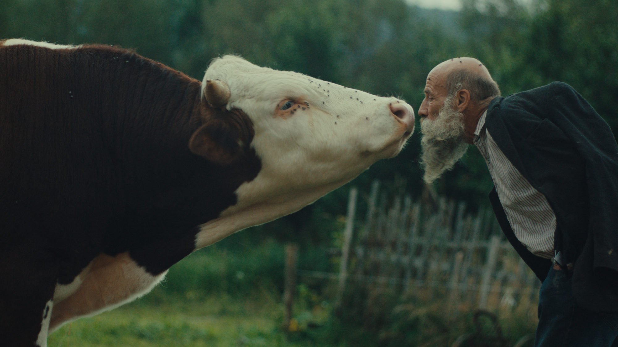 Z filmu <b><i>Raději zešílet v divočině</i></b> (r. Miro Remo, 2025)
