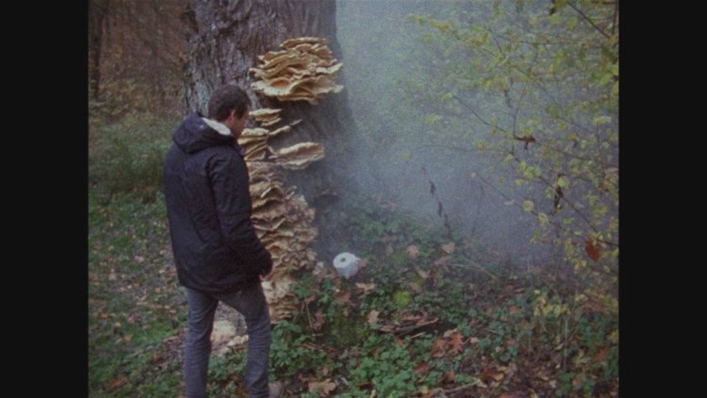 Nepoužitý záběr z filmu <b><i>1+1+1</i></b> (r. Ondřej Vavrečka, 2025). Zdroj D1 FILM