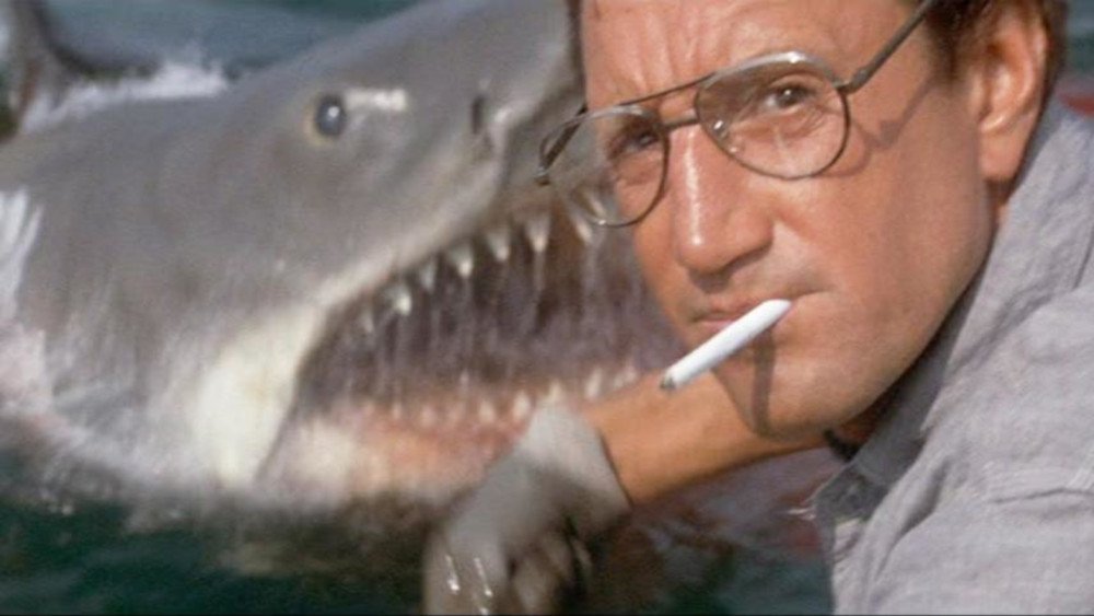 Z filmu <b><i>Čelisti</i></b> (1975, r. Steven Spielberg). Zdroj MUBI
