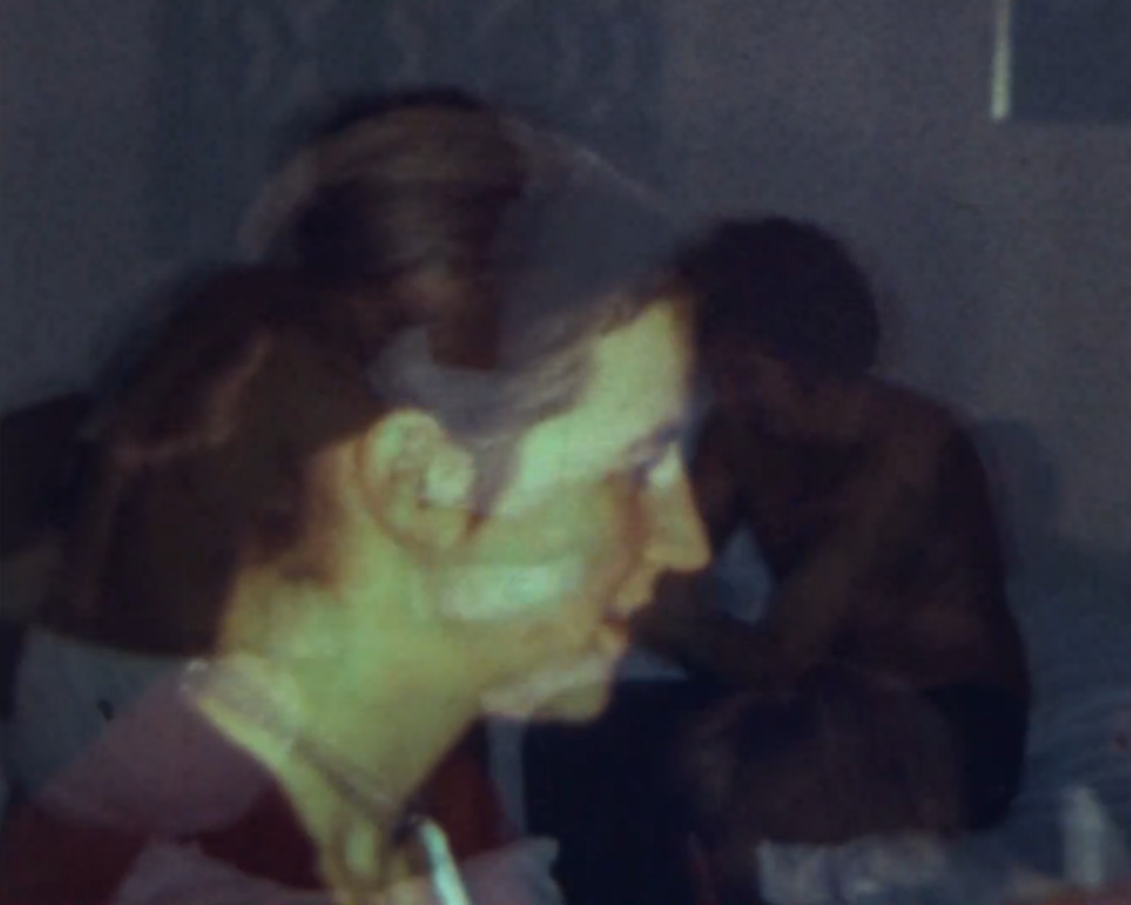 Z filmu <b><i>wedLOCK tradWIFE</i></b> (r. Gabriele Neudecker). Zdroj: MFDF Ji.hlava