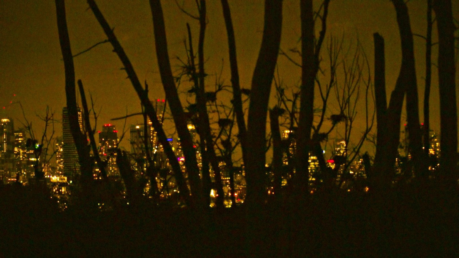 Z filmu <b><i>Dokud roste zelená tráva: Deník v sedmi částech </b></i> (r. Peter Mettler). Zdroj MFDF Ji.hlava