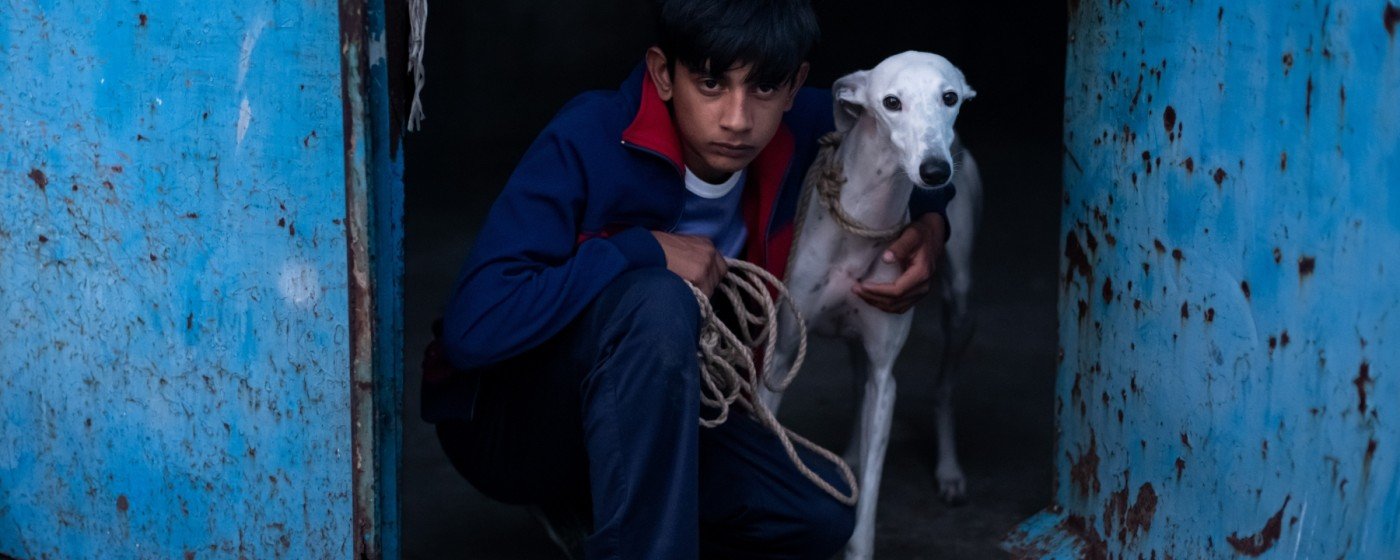 Z filmu <b><i>Město, které bdí</i></b> (r. Guillermo Galoe, 2025). Zdroj Jeden svět