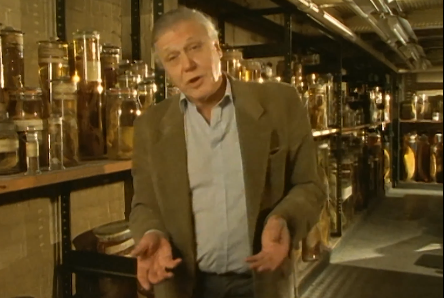 <b><i>Life on Earth</i></b>. Zdroj YouTube BBC Select