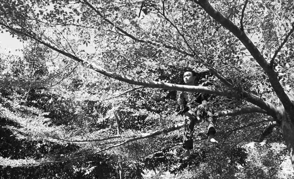 <b><i>Santelmo</i></b>