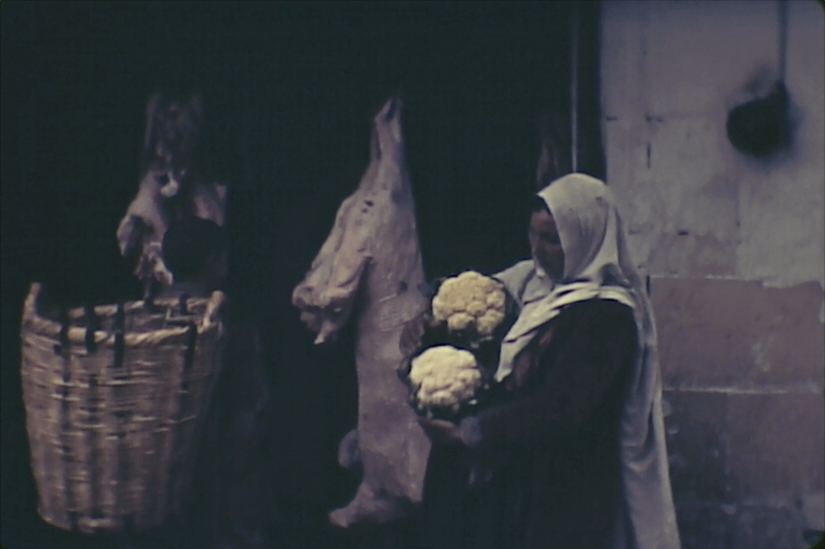 Člověk a příroda ženským pohledem