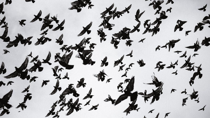 Evangelium podle Brabence