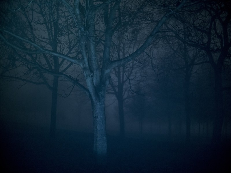 Festivalové haiku České radosti IV