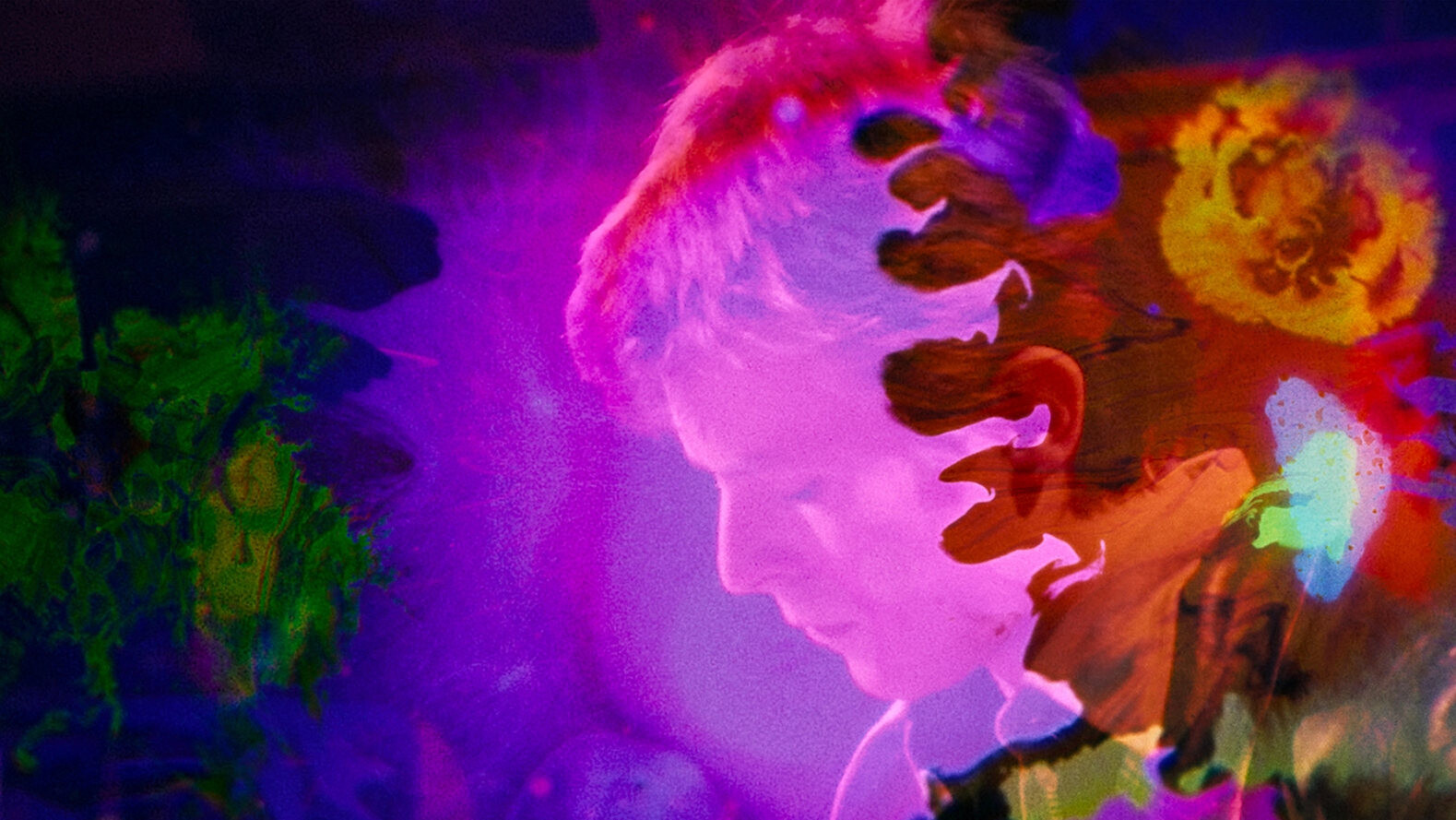 Filmové tipy Martina Šrajera. Na co se v létě podívat?