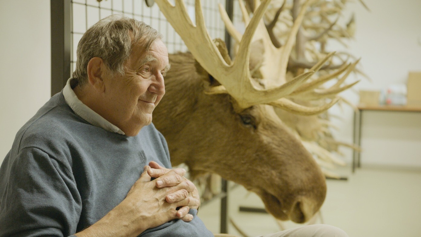 Hana Nováková. Amoosed: Losí odysea