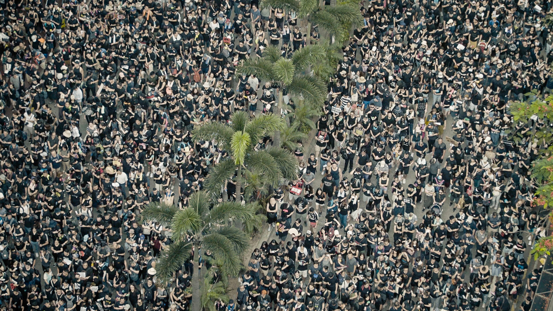 Hongkongské protesty očima Aj Wej-weje