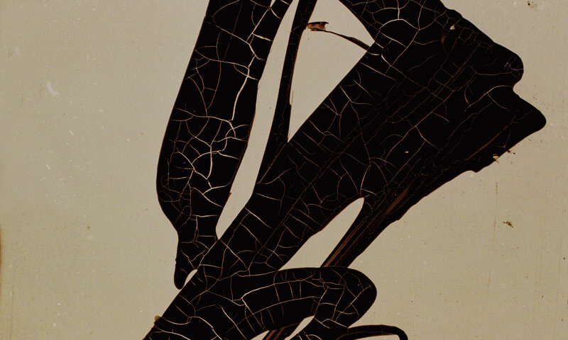 Jak to bylo s tchajwanskými dokumentárními filmy?