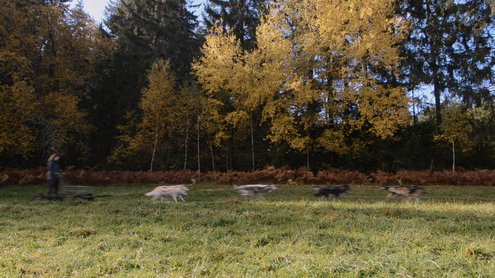 Ji.hlava zlínských obrazů
