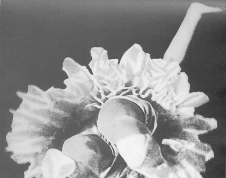 Kde se vzaly filmové festivaly