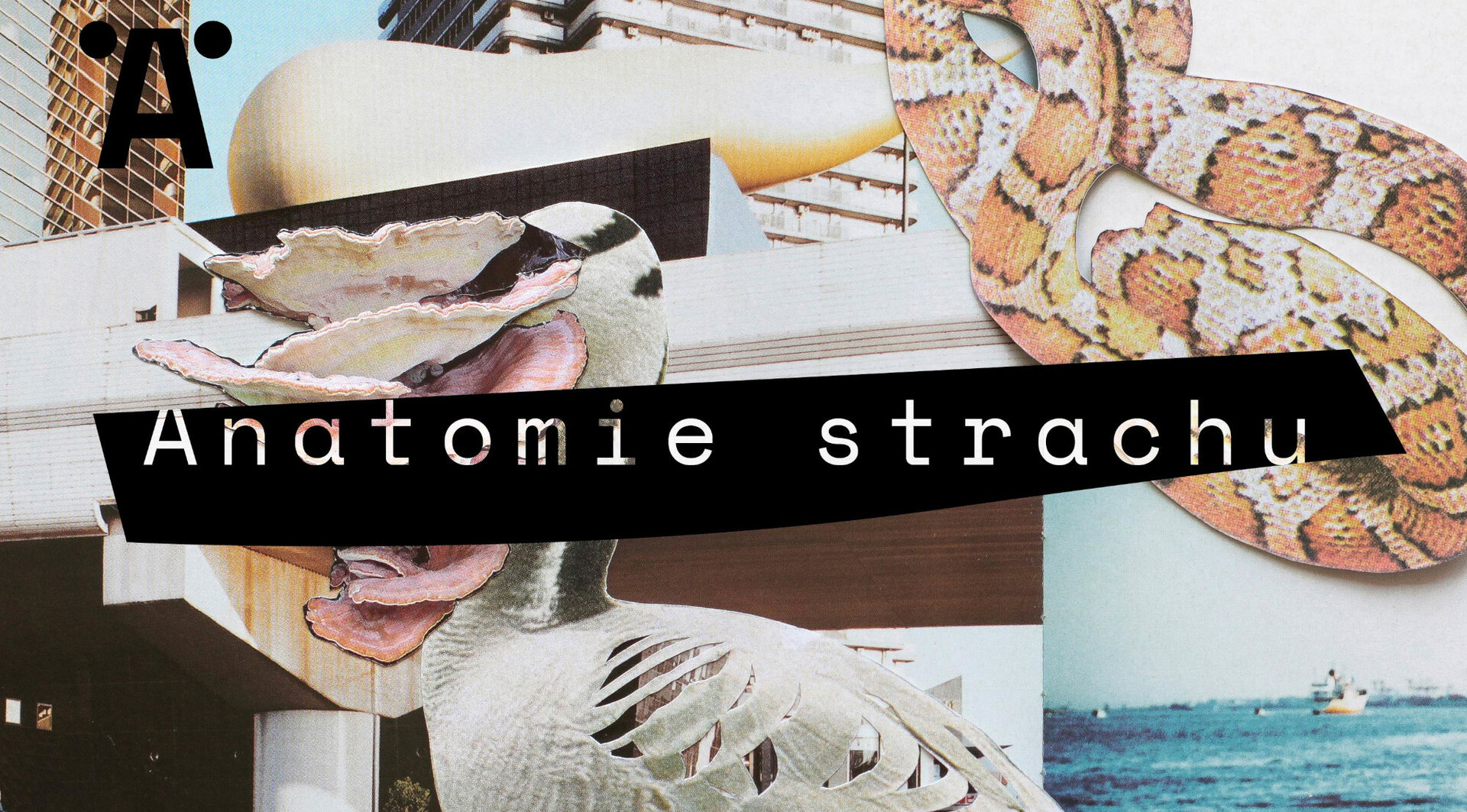 Největší síla je v prosté výpovědi