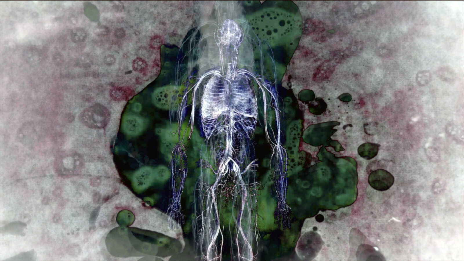 Nenechte si ujít na Ji.hlavě