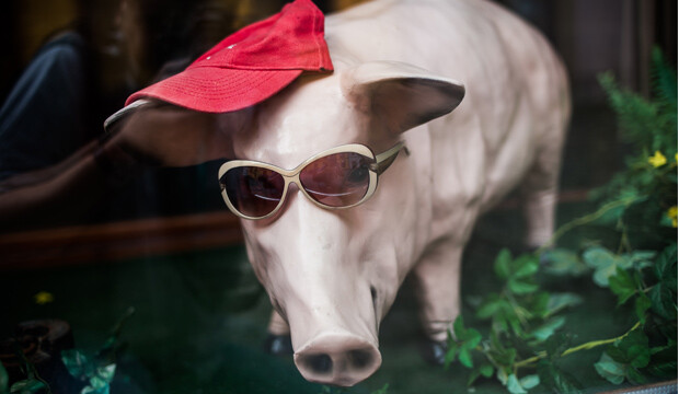 S Moorem máme společnou jenom nadváhu