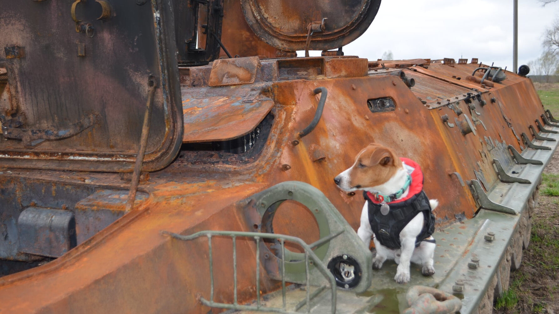 Válka, kterou nevidíme