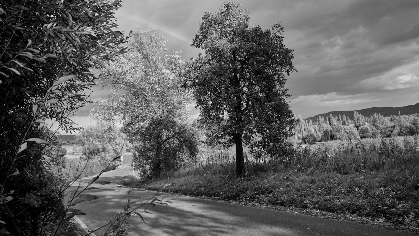 Zasazovat svět do rámce jistot