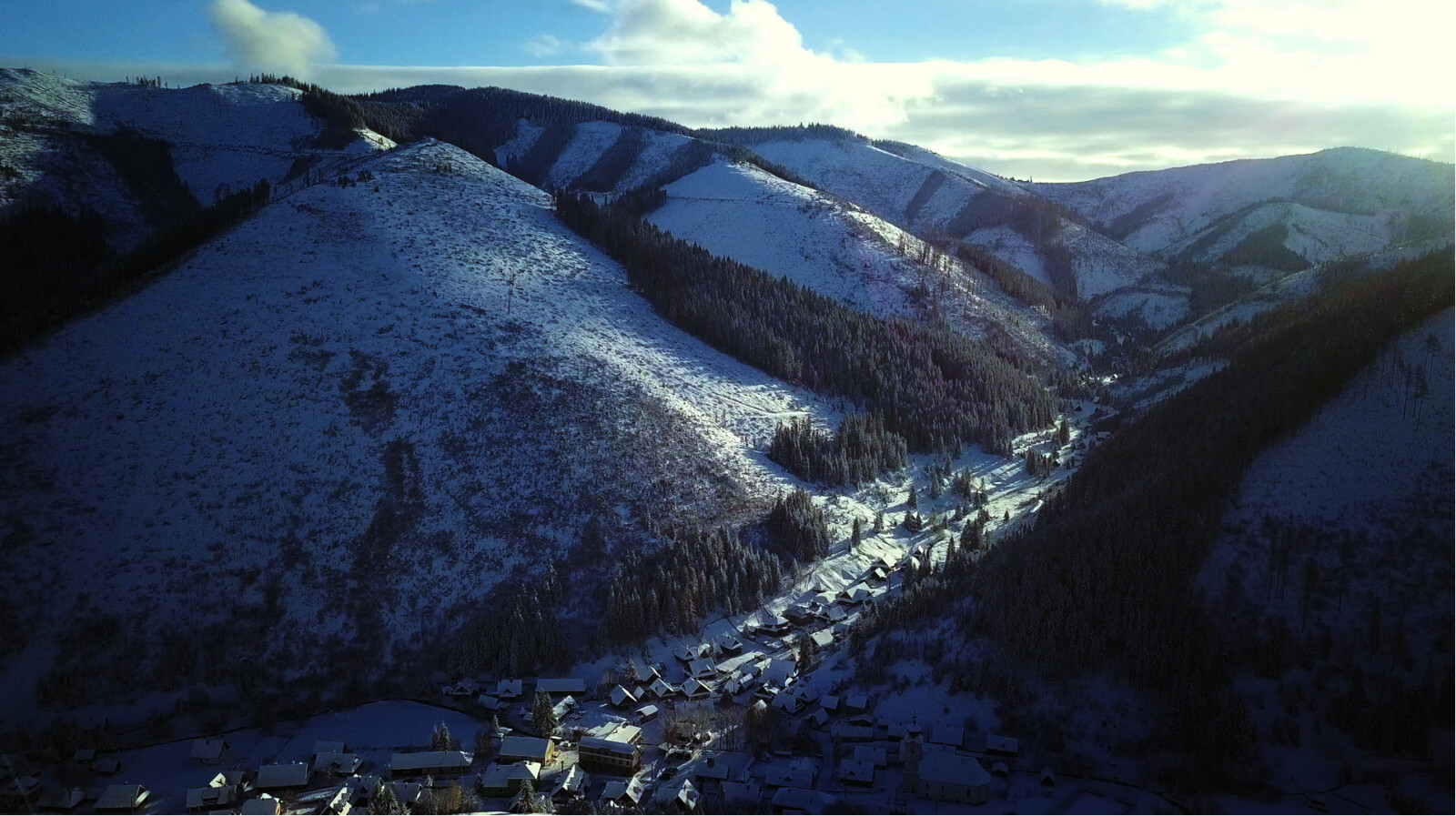 Zuzana Piussi. Hlas lesa