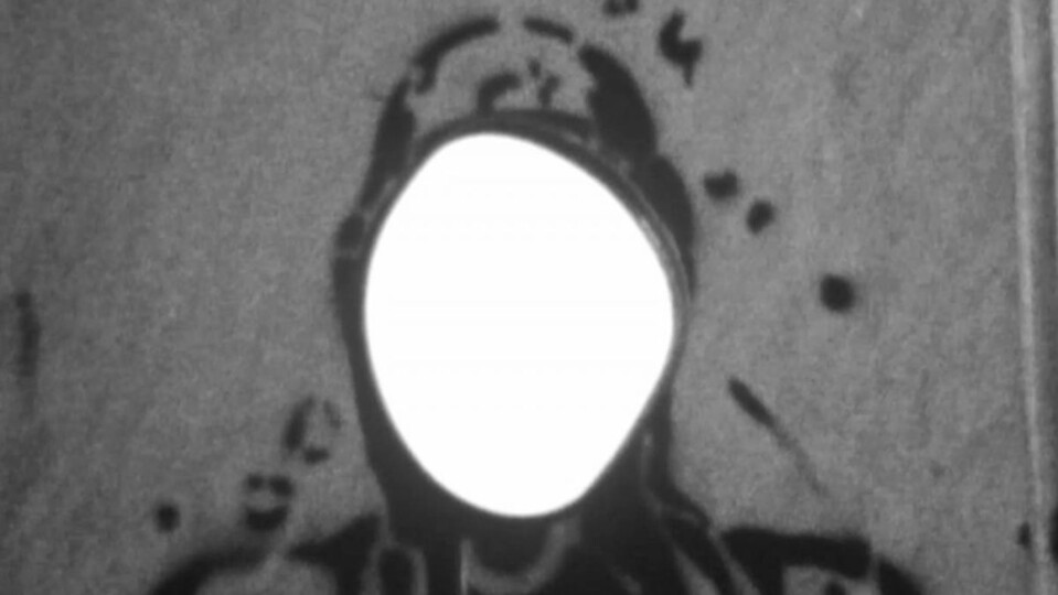 Evropa v době post-paměti