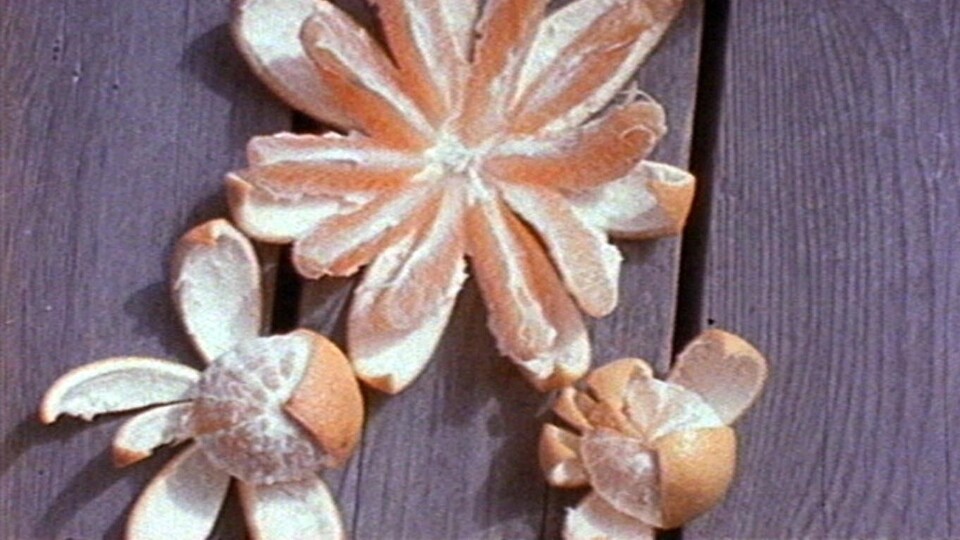 Experimenty s jídlem