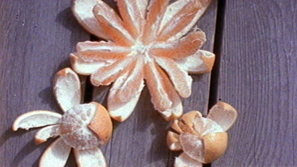 Experimenty s jídlem