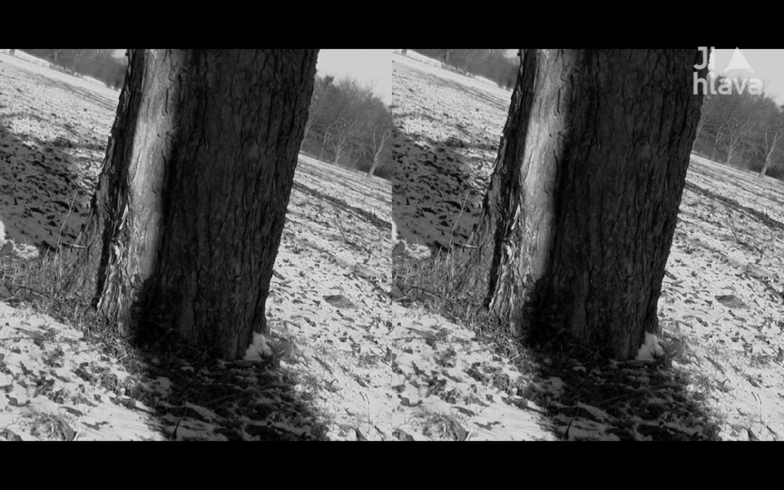 Ji.hlava 22: Listí / Ji.hlavské minuty 3