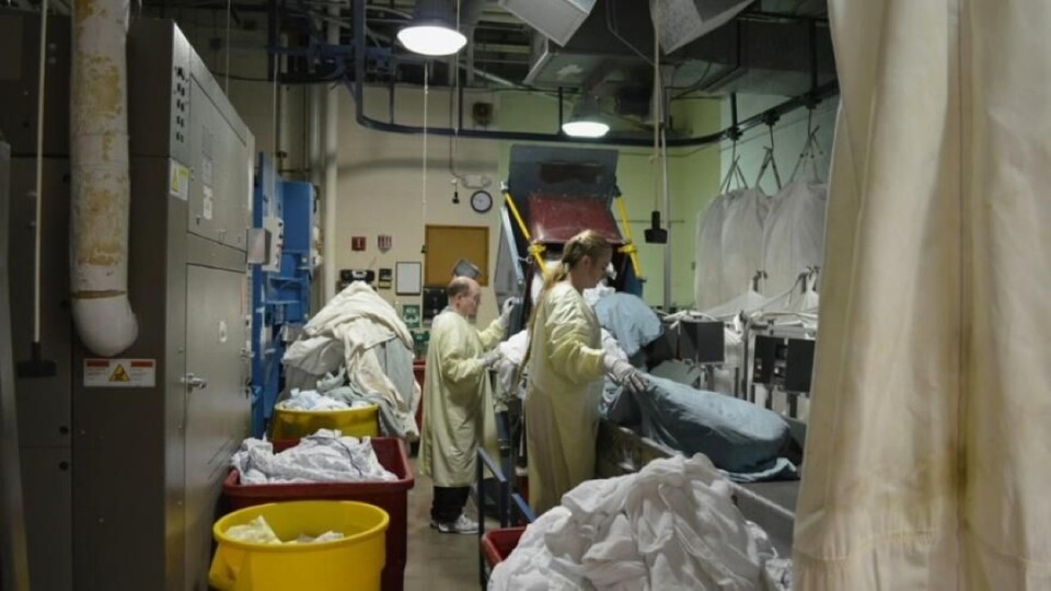 Byla jsem tichým pozorovatelem