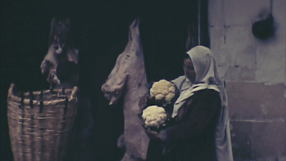 Člověk a příroda ženským pohledem