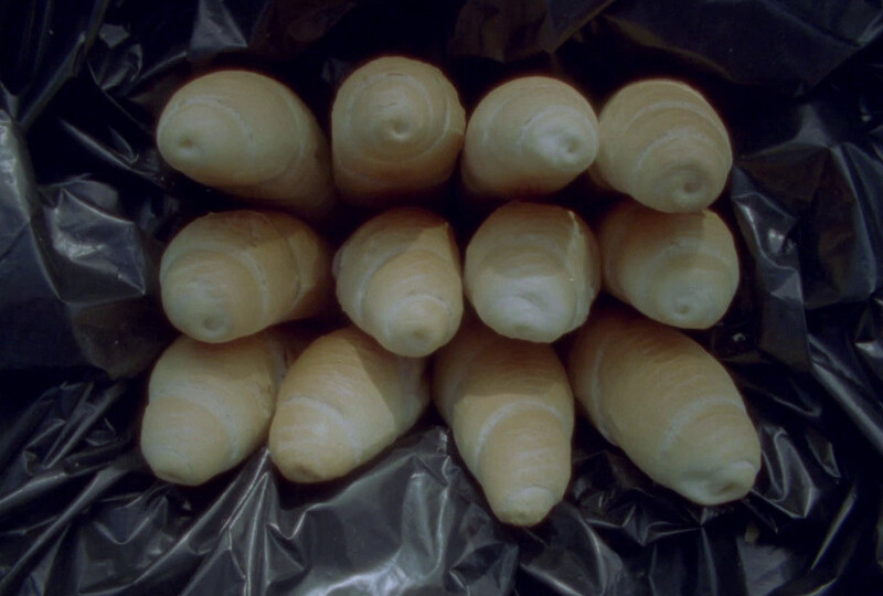 De Potentia Dei: O hledání božské moci mezi knírky a choroši