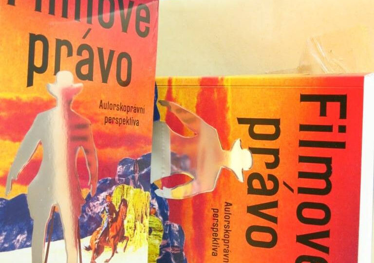 Dokumentarista a paragrafy: Několik poznámek úvodem