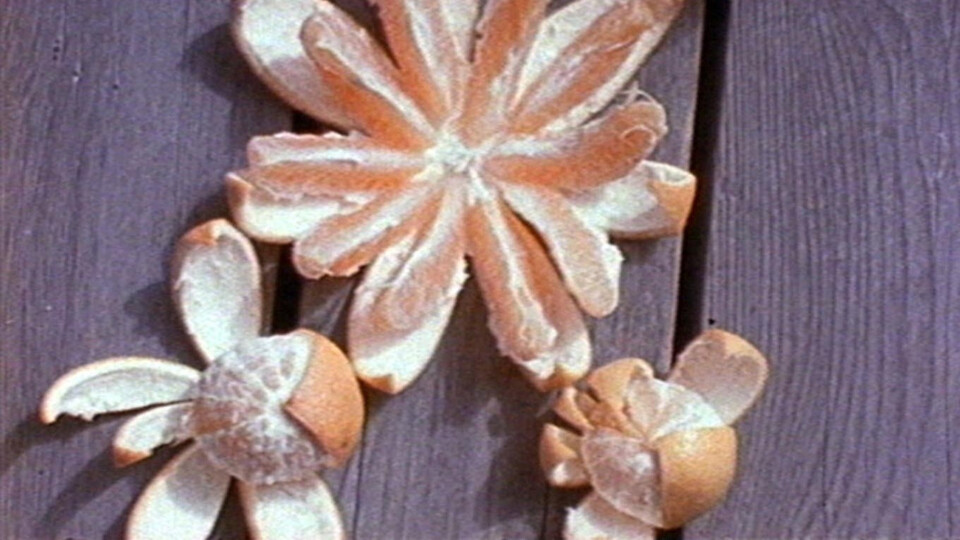 Experimenty s jídlem