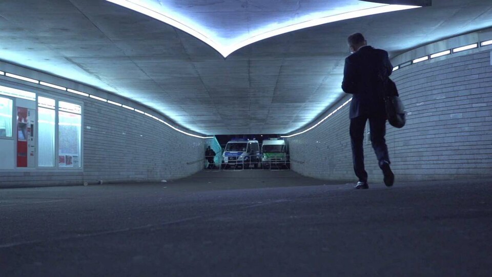 Festivalové haiku České radosti II.