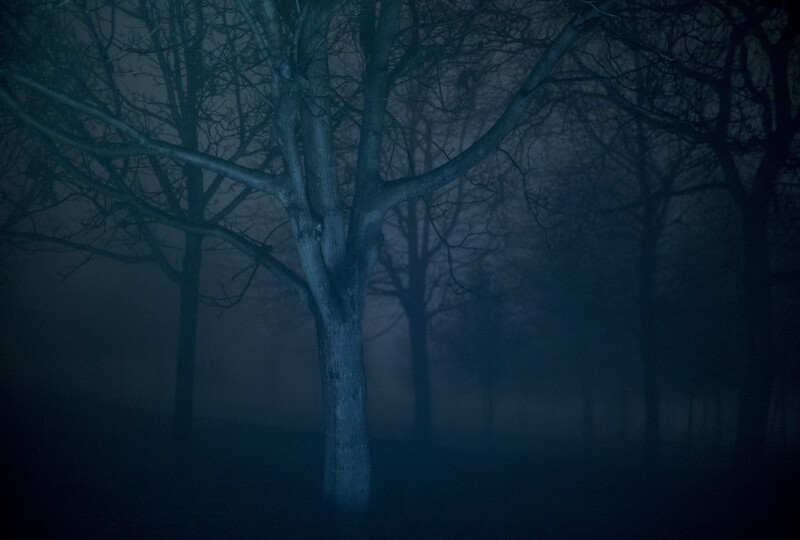 Festivalové haiku České radosti IV