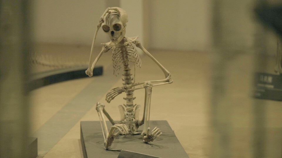 Festivalový tip dne