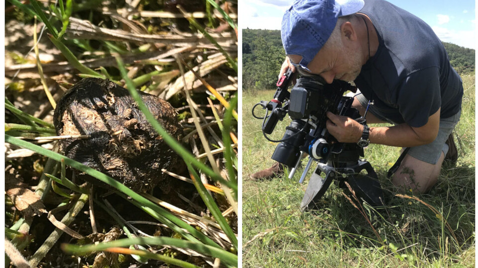 Filmař v rozvolnění – 2. díl