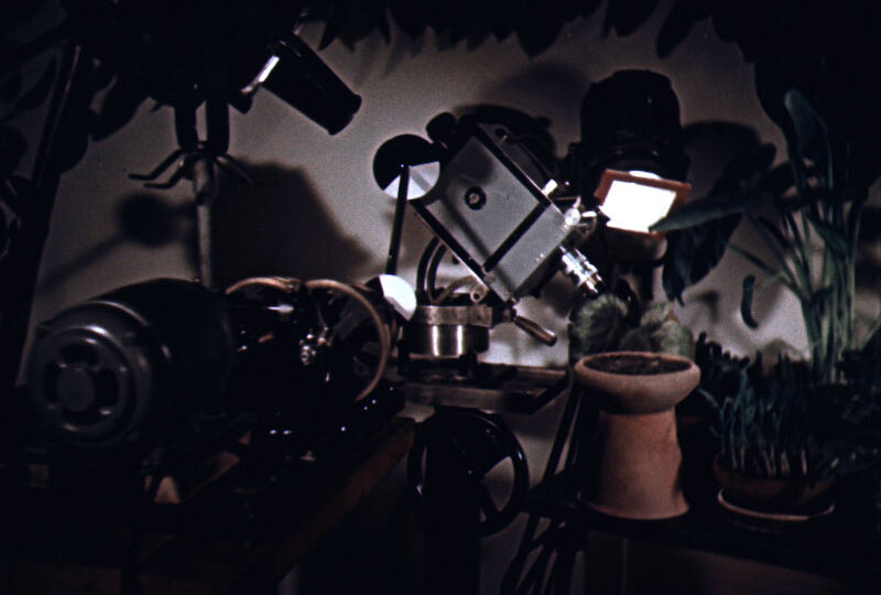 Filmoví sběrači času aneb Laboratoř pro studium životních dějů filmem