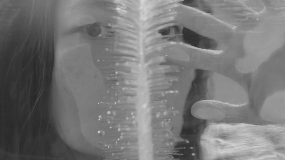 Hongkongský dokument v historických momentech