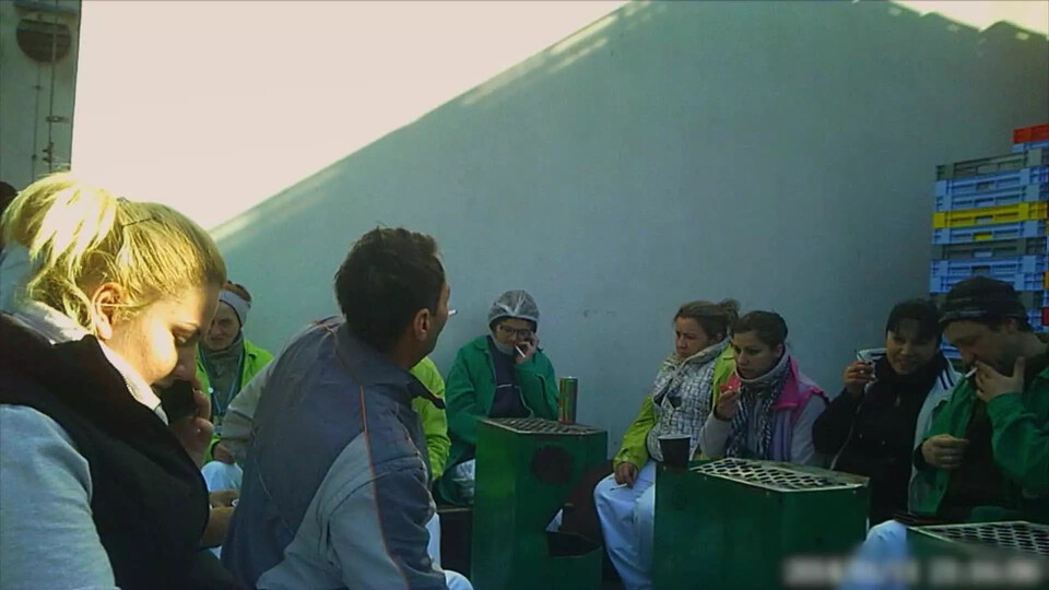 Hranice práce při projekci bez hranic