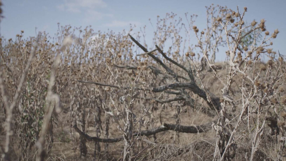 Jak nemluvit jazykem apokalypsy?