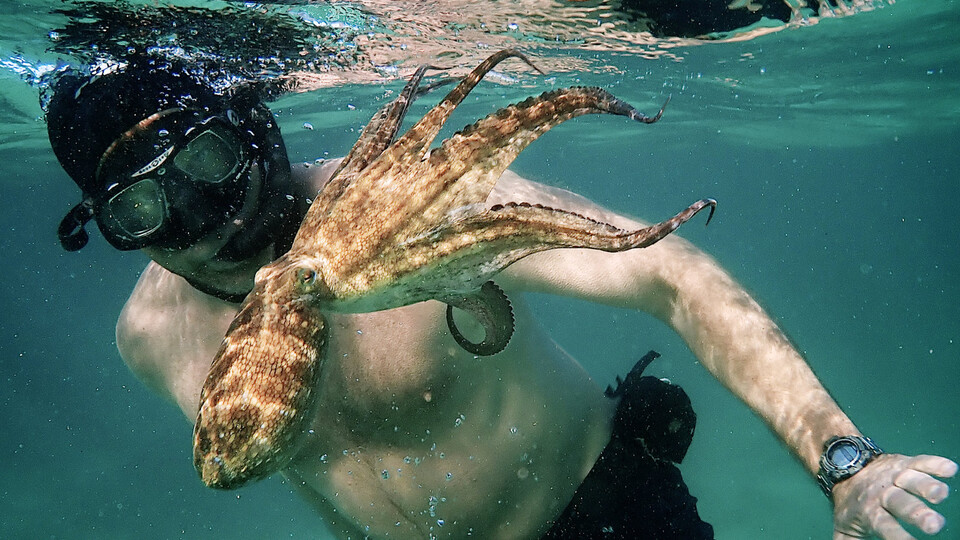 Jak se družit s jinými živočišnými druhy