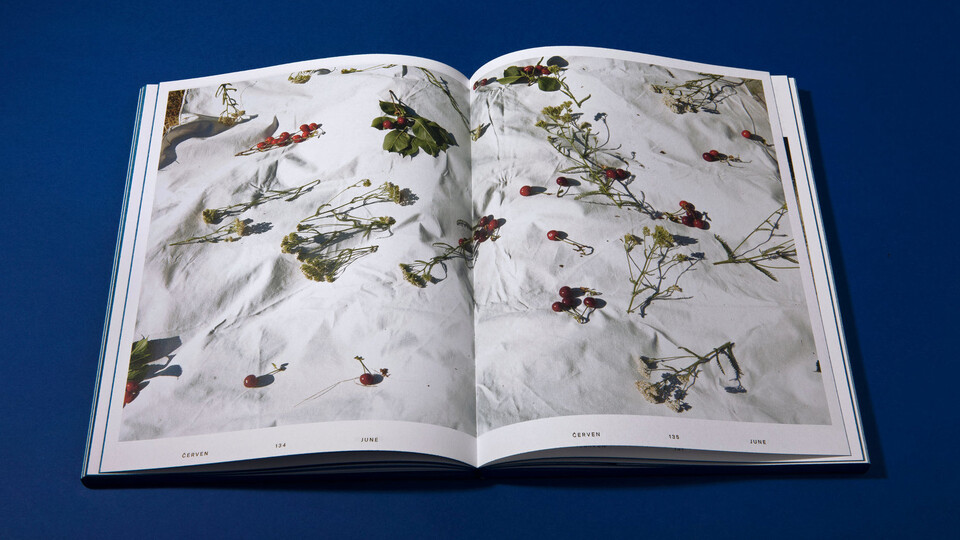 Jak se pracuje na literárním dokumentu během pandemie 