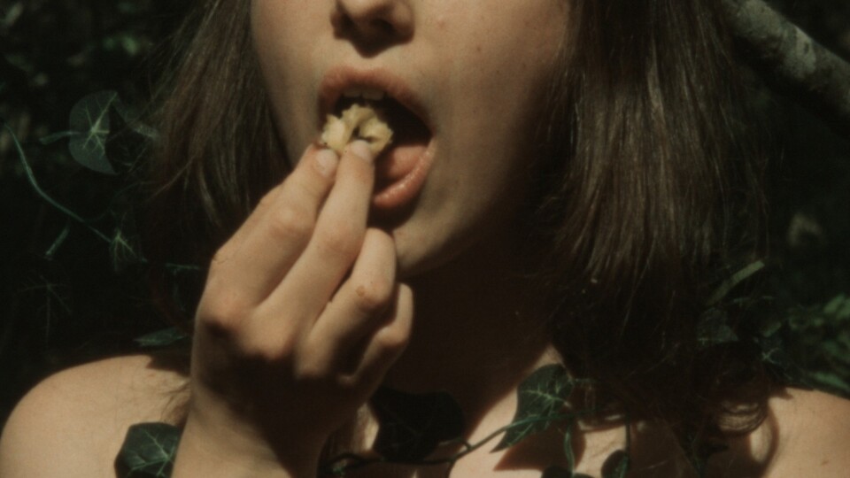 Květina a já nestačíme, musí být i slunce