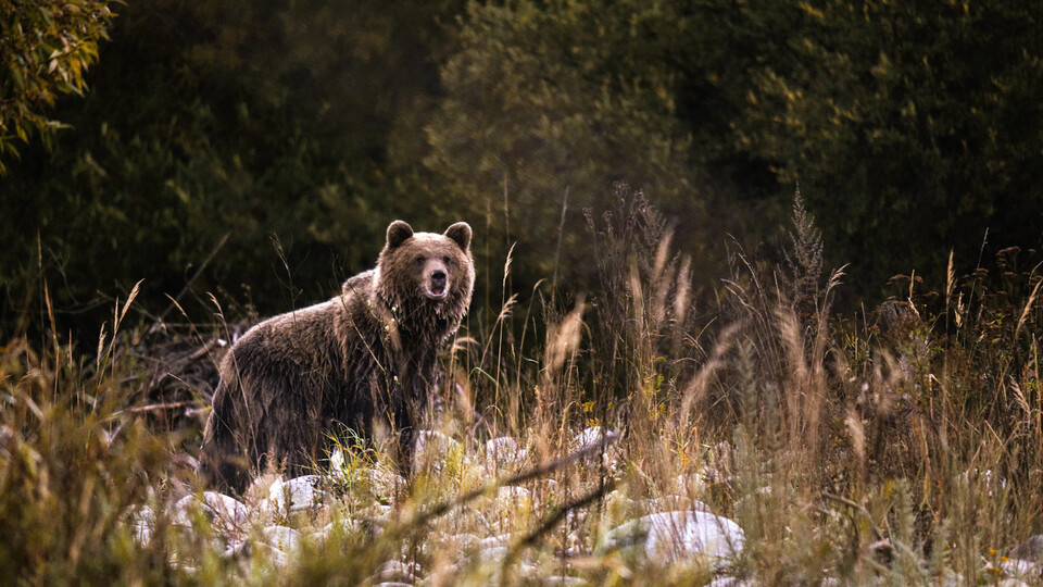 Miro Remo. Co jsme vybudovali, zase ničíme